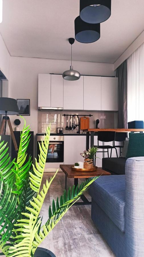 אלכסנדרופולי Down Town Luxurious Apartments מראה חיצוני תמונה